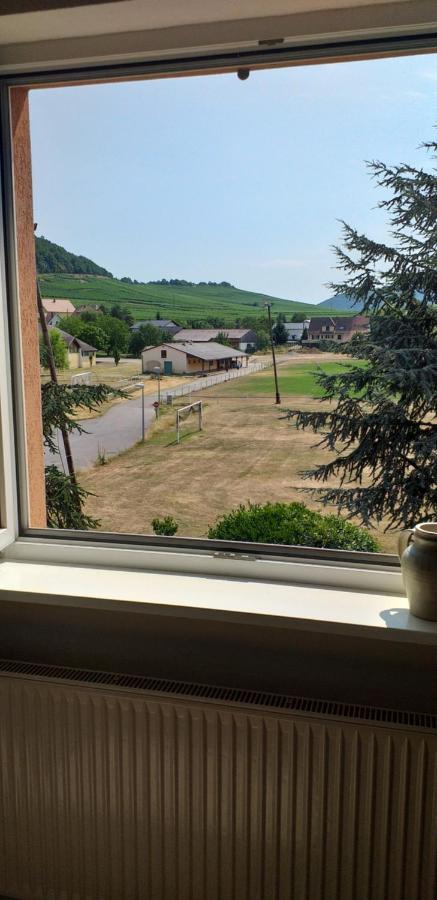 Appartement Chez Le Vigneron à Westhalten Extérieur photo